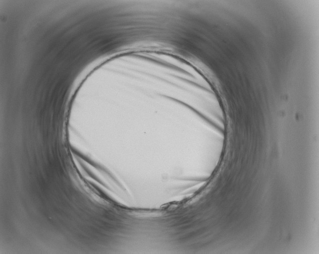 X0000082701296200702232220