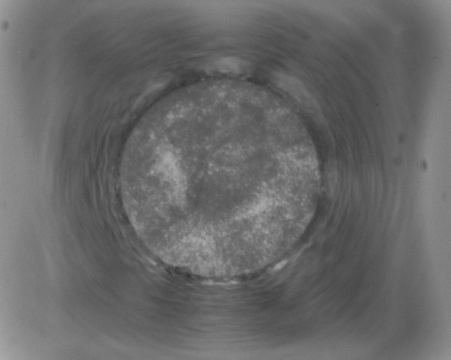 X0000082701297200702232220