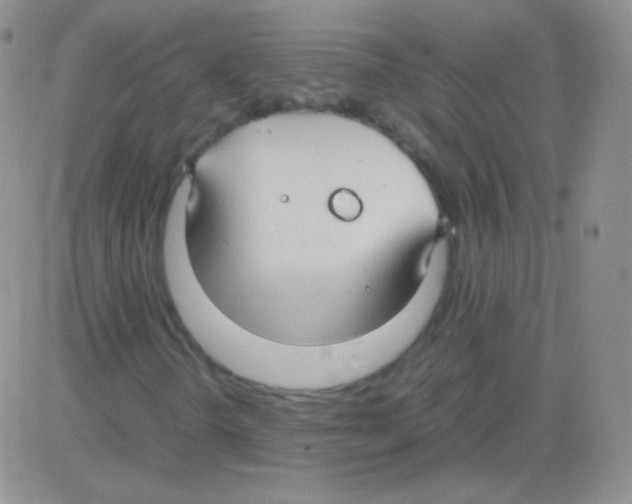 X0000082701298200702232220