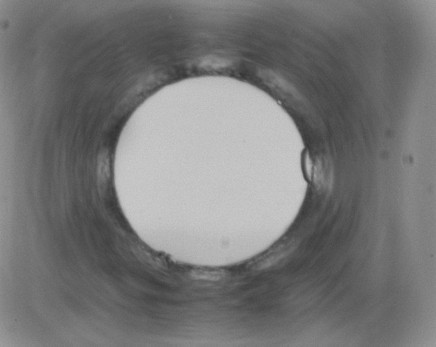 X0000082701299200702232220