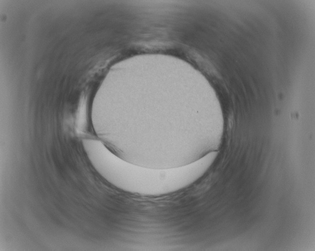 X0000082701300200702232220