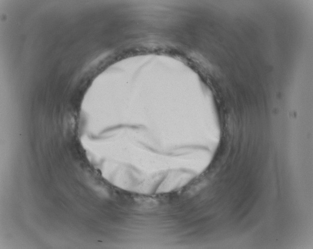 X0000082701302200702232220