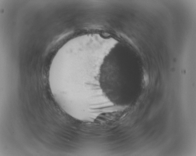 X0000082701303200702232220