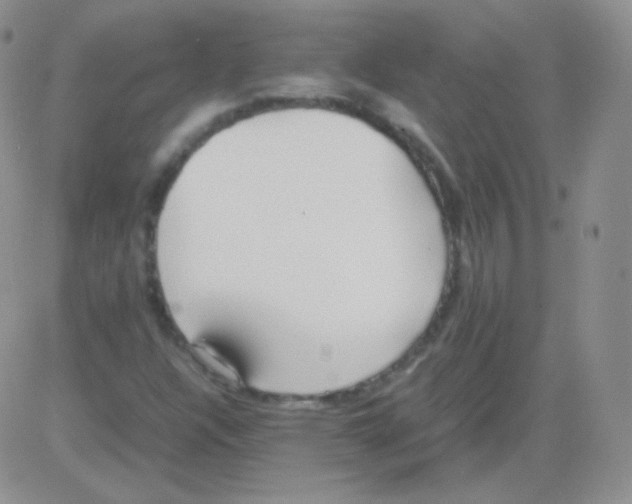 X0000082701304200702232220