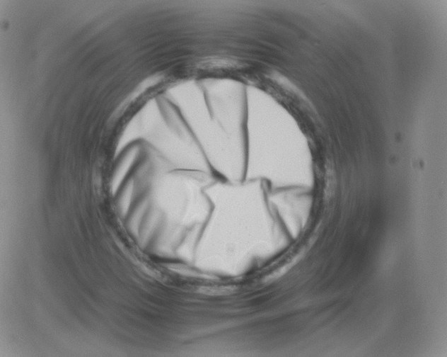 X0000082701305200702232220