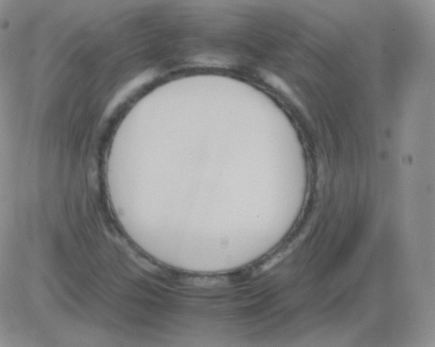 X0000082701307200702232220