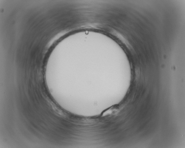 X0000082701308200702232220