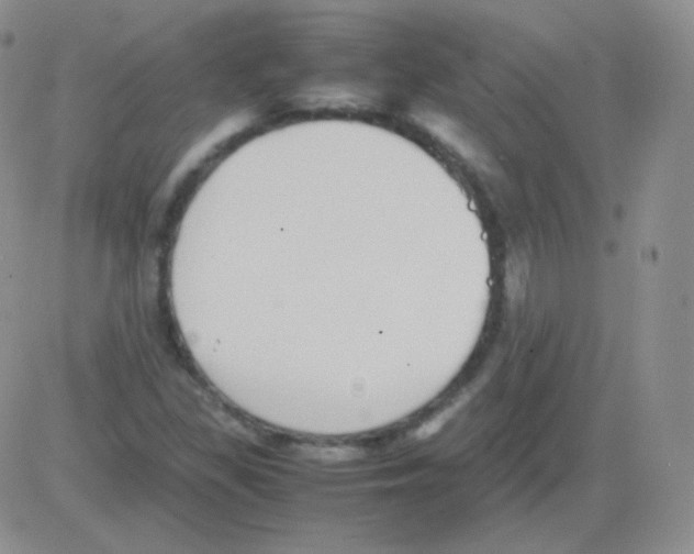 X0000082701309200702232220