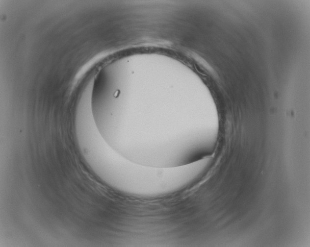 X0000082701310200702232220