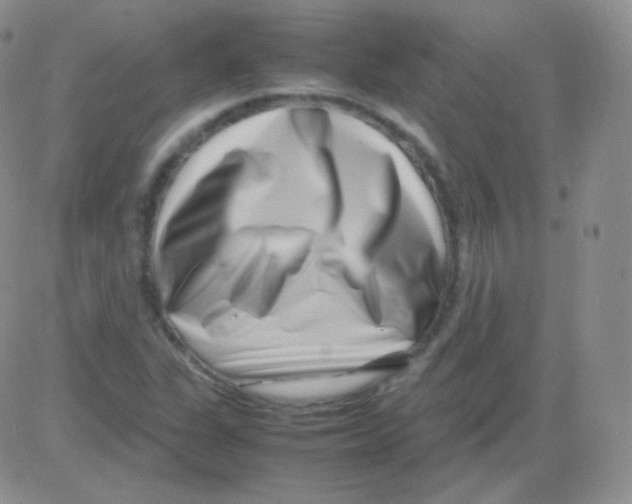 X0000082701311200702232220