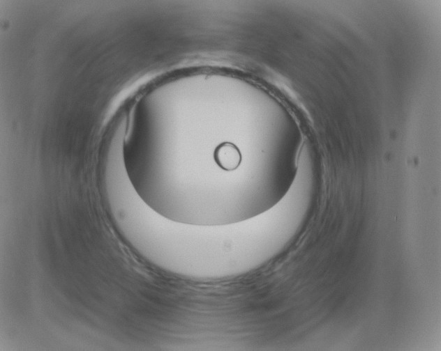 X0000082701312200702232220