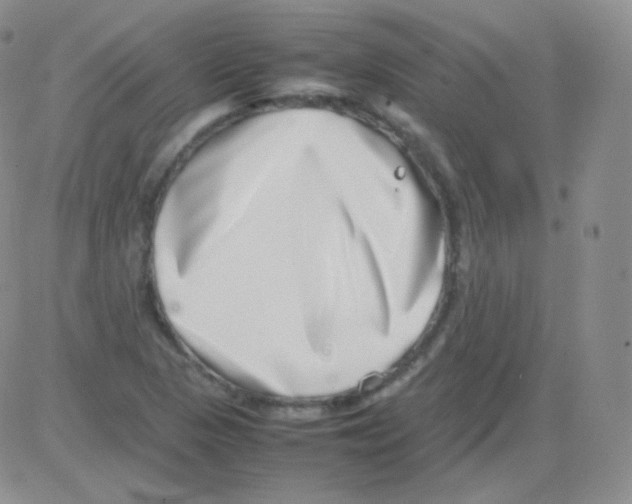 X0000082701313200702232220