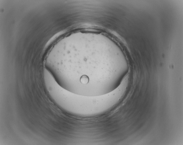 X0000082701314200702232220