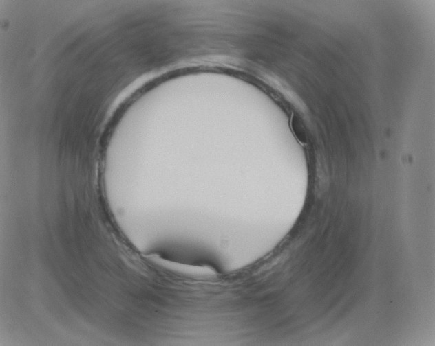 X0000082701316200702232220