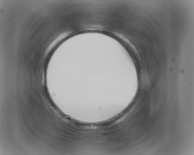 X0000082701317200702232220