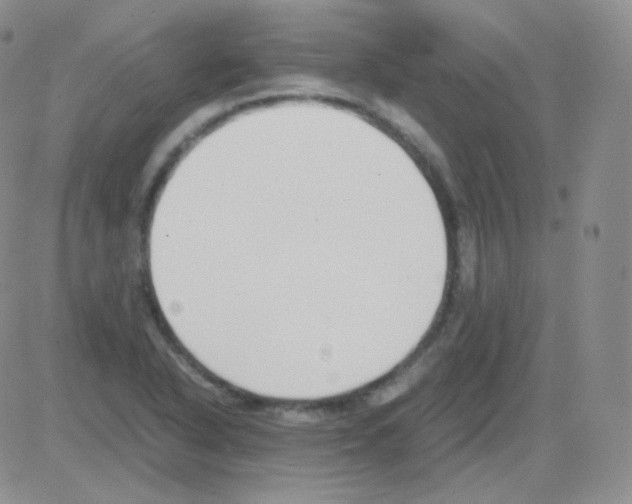 X0000082701318200702232220