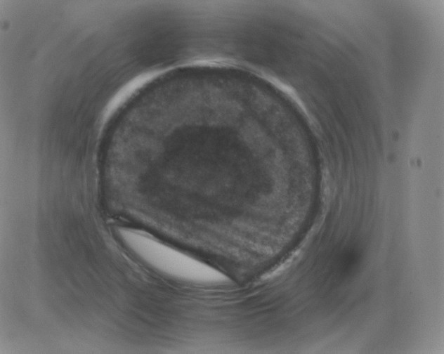 X0000082701319200702232220