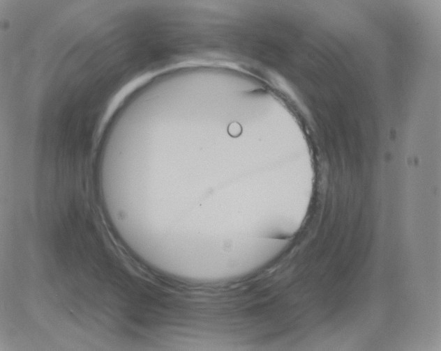 X0000082701320200702232220