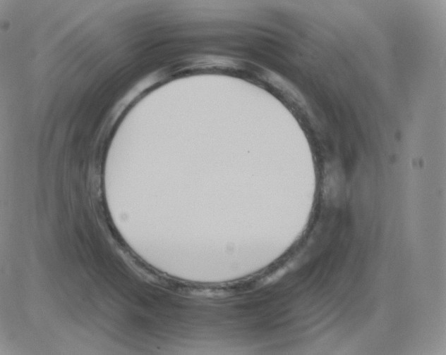 X0000082701321200702232220