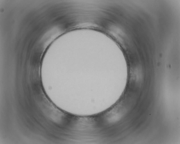 X0000082701322200702232220