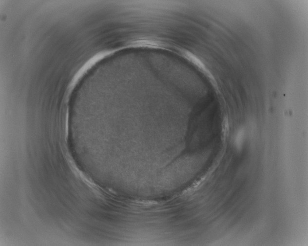 X0000082701323200702232220