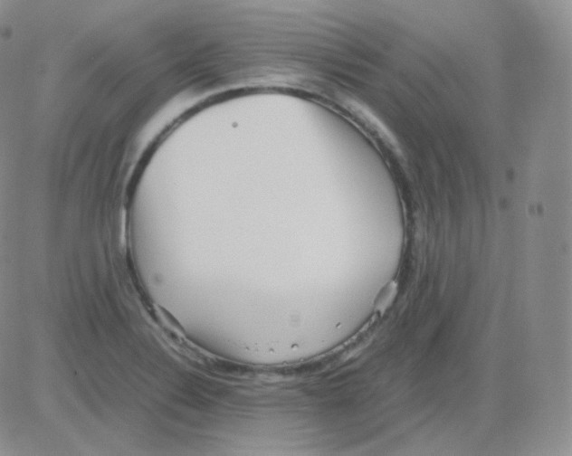 X0000082701324200702232220