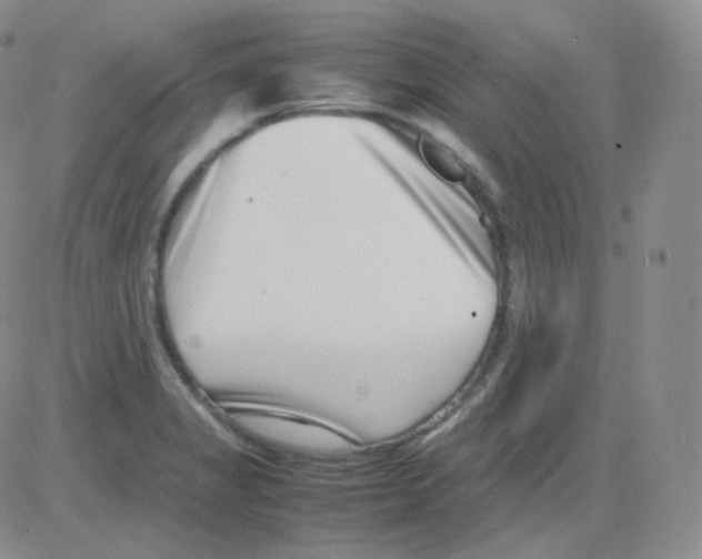 X0000082701325200702232220