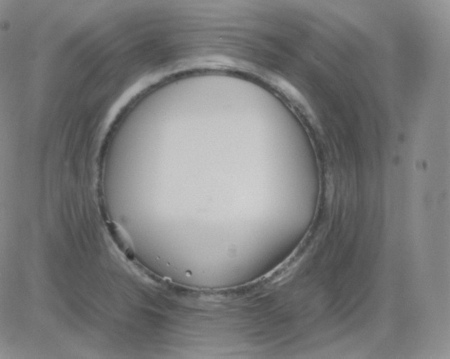 X0000082701326200702232220