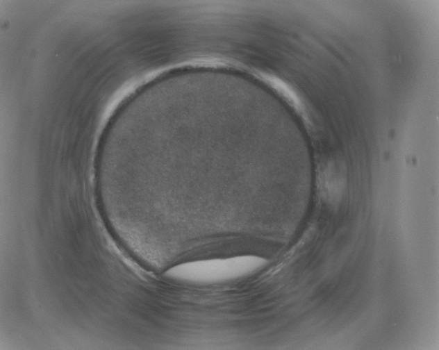 X0000082701327200702232220