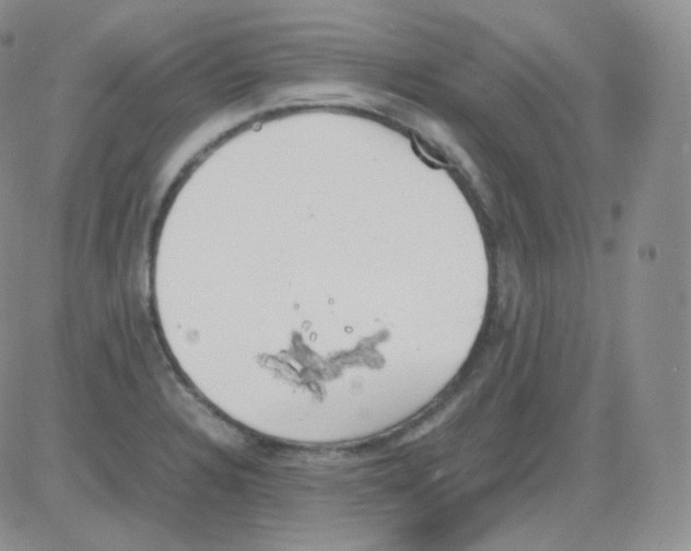 X0000082701328200702232220