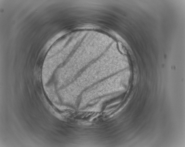 X0000082701329200702232220