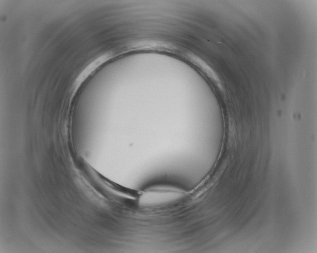 X0000082701330200702232220