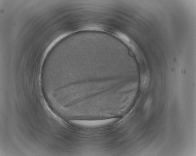 X0000082701331200702232220