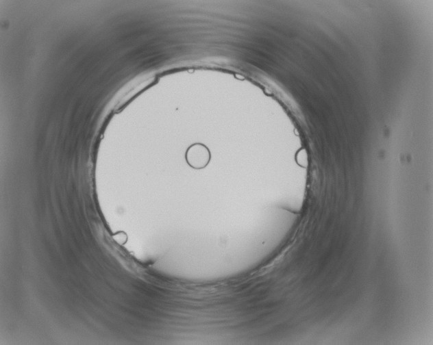 X0000082701332200702232220