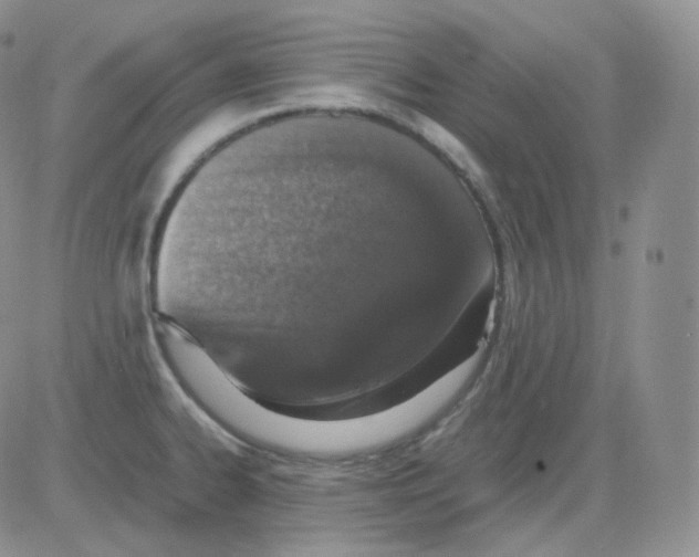 X0000082701334200702232220