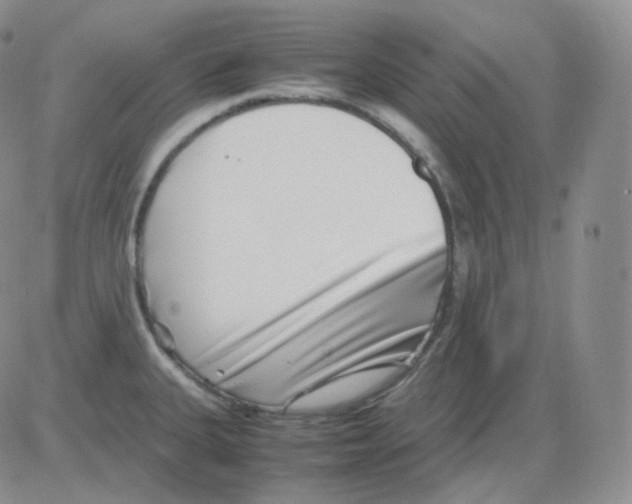 X0000082701335200702232220