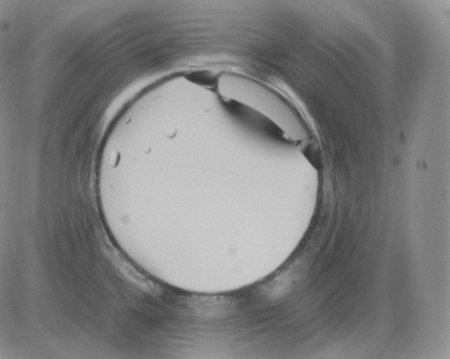 X0000082701336200702232220