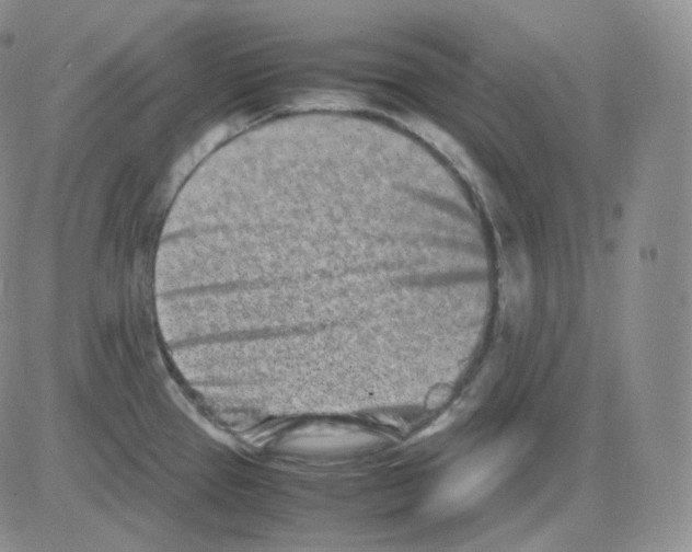 X0000082701337200702232220