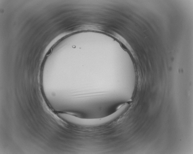 X0000082701339200702232220