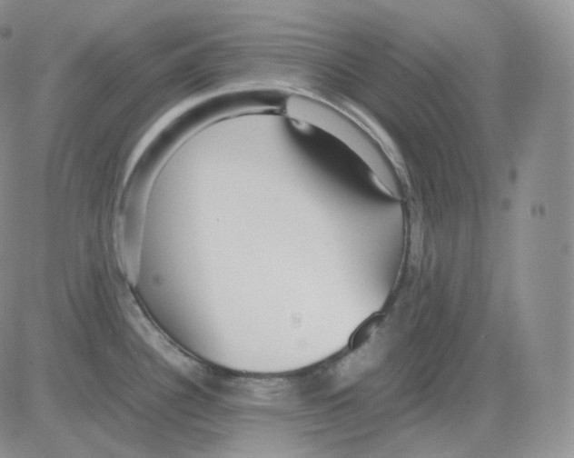 X0000082701340200702232220