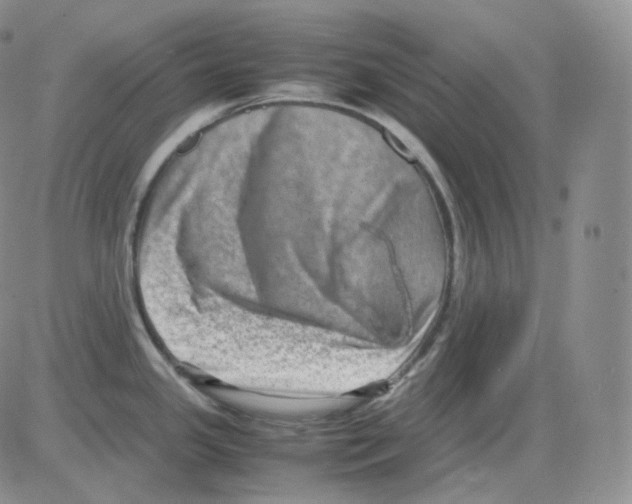 X0000082701341200702232220