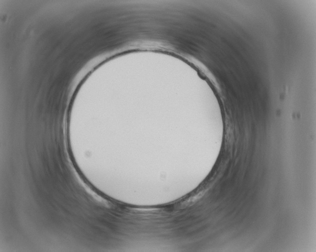 X0000082701343200702232220