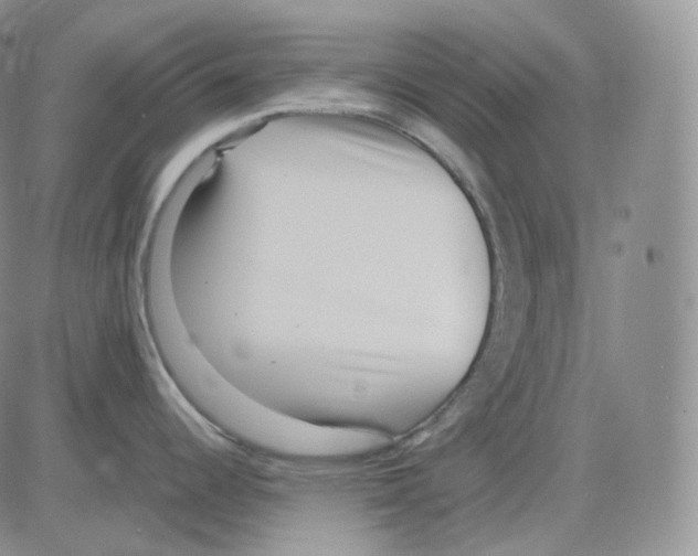 X0000082701344200702232220