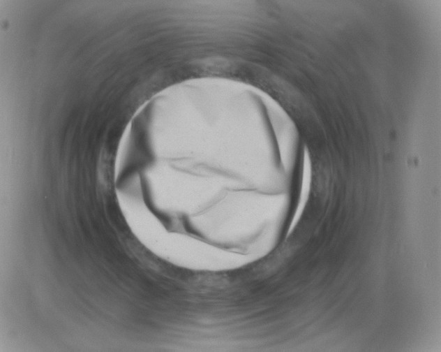 X0000082701346200702232220