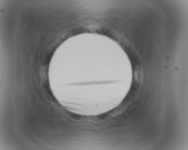 X0000082701347200702232220