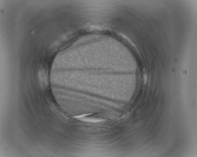 X0000082701348200702232220