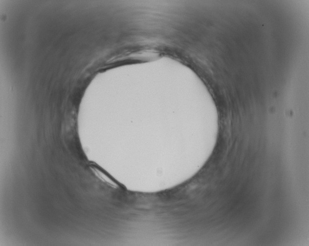 X0000082701349200702232220