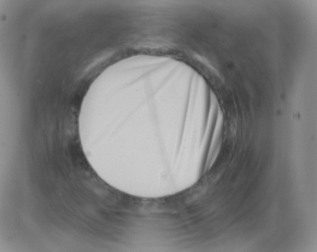 X0000082701350200702232220