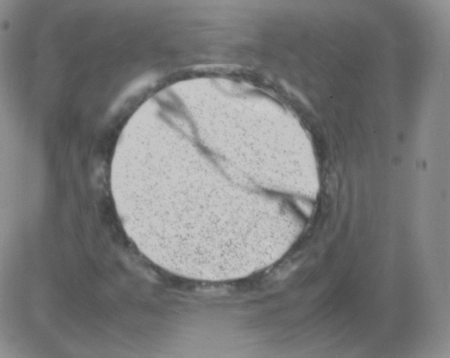 X0000082701351200702232219