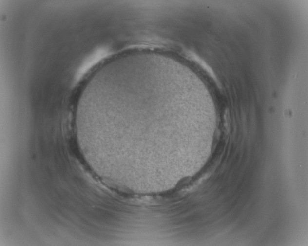 X0000082701352200702232219